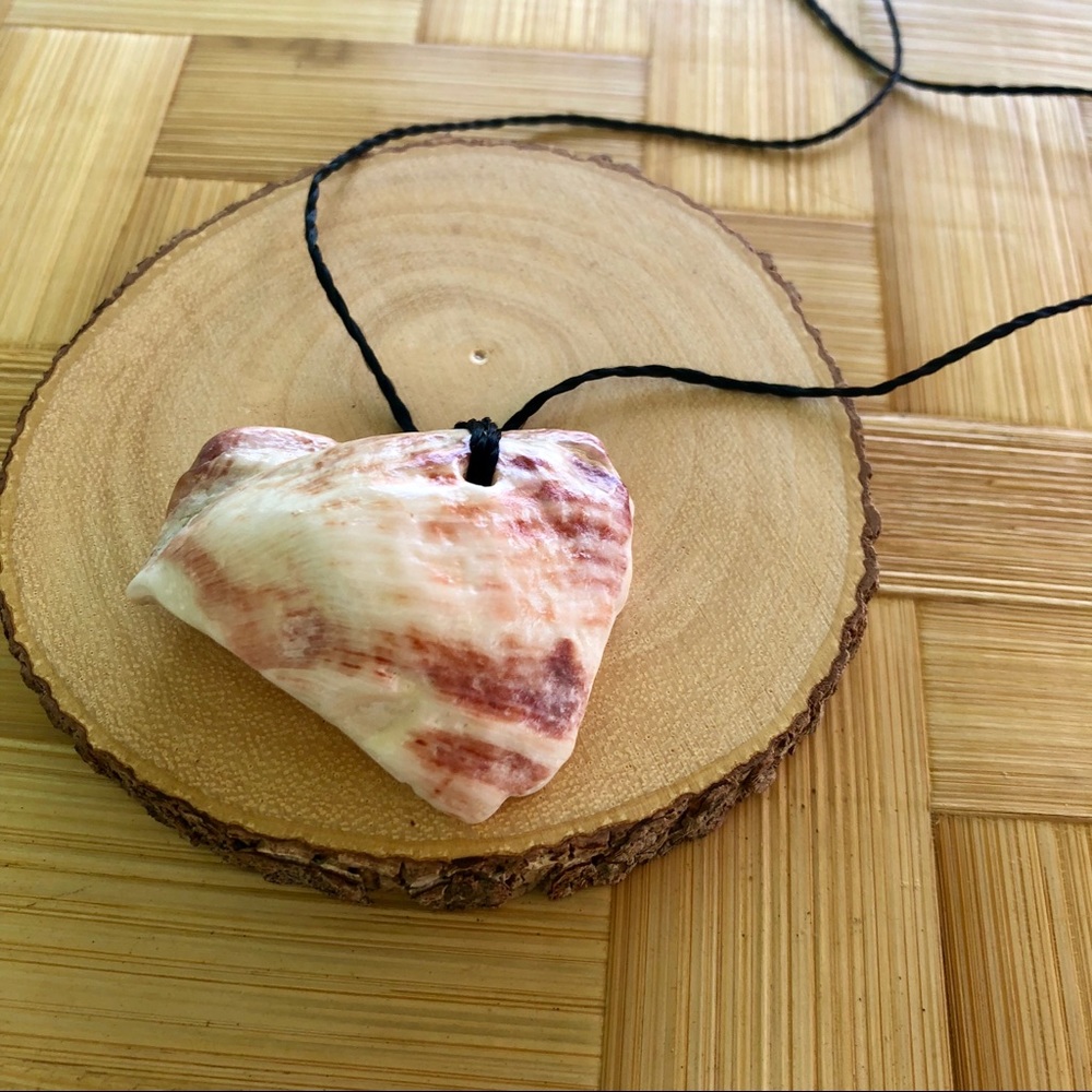 Shell necklace #213